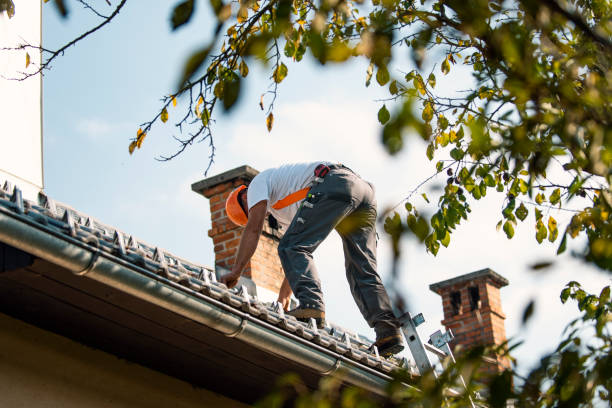Best Roof Insulation Installation  in Olympia, WA