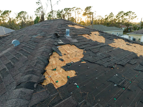 Best Steel Roofing  in Olympia, WA